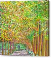 Walk In Park Cathedral Canvas Print