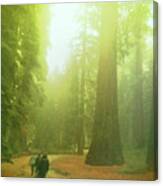 Walking By Giants Canvas Print