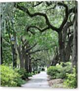 Walking In The Park Canvas Print