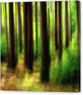 Walking In The Woods Canvas Print