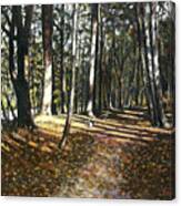 Walking Jasper Canvas Print