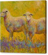 Warm Glow - Sheep Pair Canvas Print