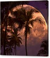 Warm Tropical Nights Canvas Print