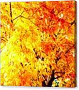 Warmth Of Fall Canvas Print
