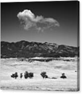 Warner Springs Trees And Cloud Canvas Print