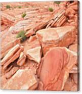 Wash 4 Color In Valley Of Fire Canvas Print