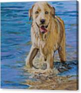 Water Dog Canvas Print