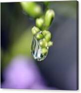Water Droplet Iv Canvas Print