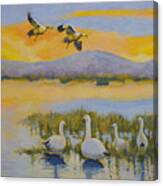 Water Fowl, Sutter Buttes Canvas Print