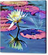 Water Lily In The Pond Canvas Print