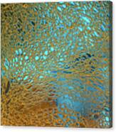 Water Reef Abstract Canvas Print