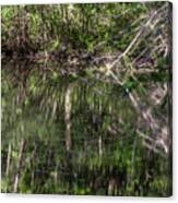 Water Reflection Canvas Print