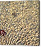 Water Refracting Light Canvas Print