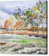Watercolor - Autumn Birch Landscape Canvas Print