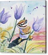 Watercolor - Chipmunk With Pasque Flowers Canvas Print