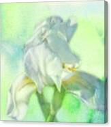 Watercolor Iris Canvas Print