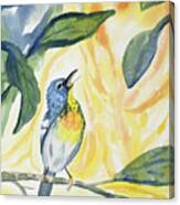 Watercolor - Northern Parula In Song Canvas Print