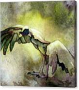 Watercolor Painting Of African Vulture With Wings Outstretched A Canvas Print