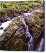 Waterstreaming Canvas Print