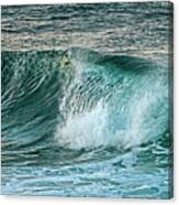 Wave Break Canvas Print