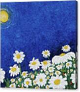 We Are Daisies Canvas Print