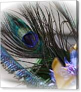 Wedding Peacock Feather Canvas Print