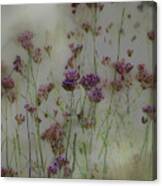 Weeds Canvas Print