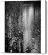 Weeping Willow Canvas Print