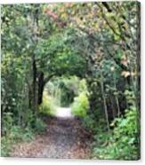 Welcome To The Wooded Path Canvas Print
