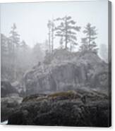 West Coast Landscape Ocean Fog Iii Canvas Print