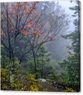West Virginia Highlands In Autumn Canvas Print