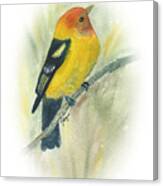 Western Tanager Canvas Print