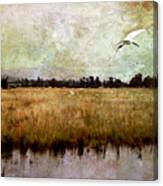 Wetlands Canvas Print