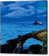 Whales Tales Canvas Print