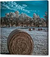 What The Hay---faux Color Ir Canvas Print