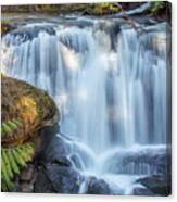 Whatcome Falls Canvas Print