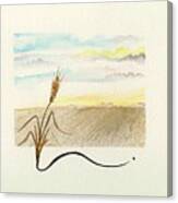Wheat Field Study Four Canvas Print