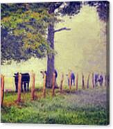 When The Cows Come Home - Blue Ridge Ap Canvas Print