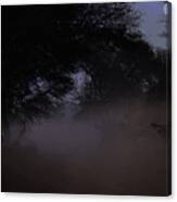 Whispering Mist Canvas Print