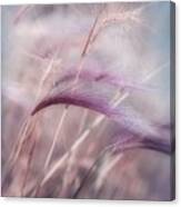 Whispers In The Wind Canvas Print