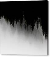 White And Black Trees Canvas Print