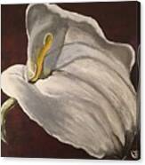 White Calla Lily Canvas Print