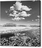 White Clouds Over The Marsh In Black And White Canvas Print