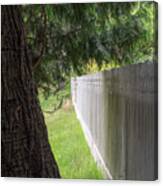 White Fence And Tree Canvas Print