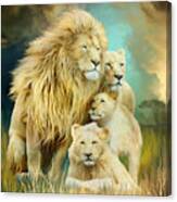 White Lion Family - Unity Canvas Print
