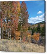 White River National Forest Autumn Landscape Canvas Print
