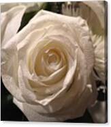 White Rose Canvas Print