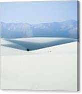 White Sands, New Mexico Canvas Print