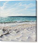 White Sands Of Tiger Tail Canvas Print