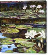 White Waterlilies In Tower Grove Park Canvas Print